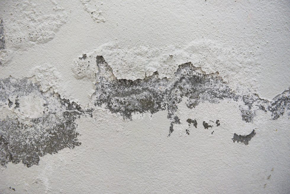 empty-old-wall-texture-background-painted-distressed-wall-surface-grunge-shabby-building-facade-with-damaged-plaster-cracked-color-caused-by-moisture-peeling-wall-min-980x654